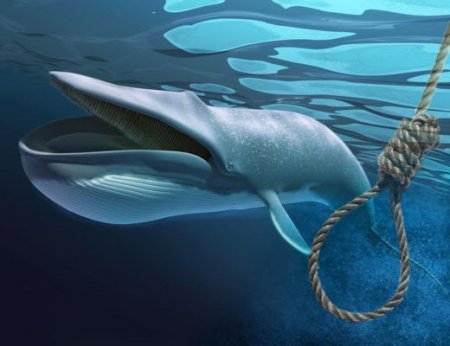 “Mavi balina” oynayan yeniyetmə intihar etdi