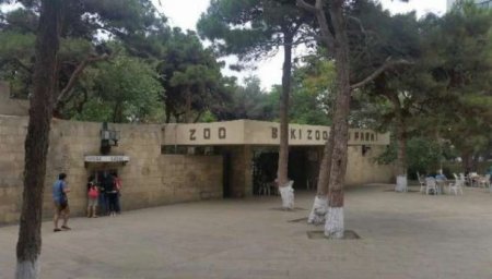 Bakı zooparkının açılış tarixi bəlli oldu