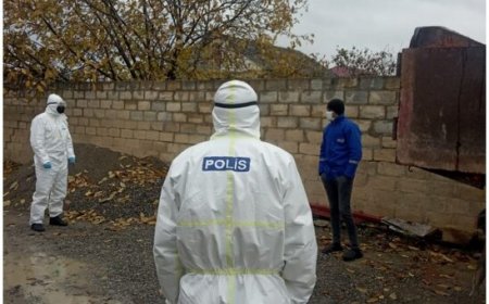 Azərbaycanda 51 COVID-19 xəstəsi barəsində cinayət işi başlanıldı