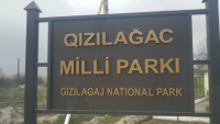 Su Nəqliiyatında Polis İdarəsi Qızılağac Milli Parkında reyd keçirib